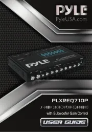 Pyle