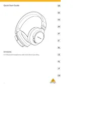Behringer