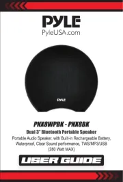 Pyle