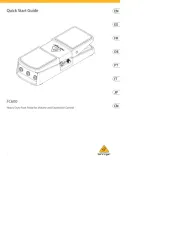 Behringer