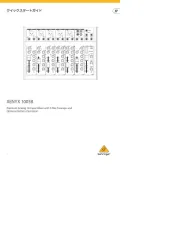 Behringer