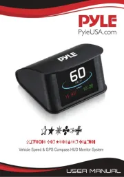 Pyle