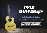 Pyle