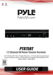 Pyle