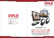 Pyle
