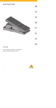 Behringer
