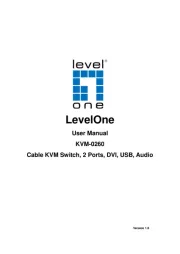 LevelOne