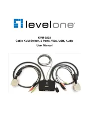 LevelOne
