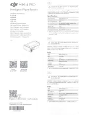 DJI