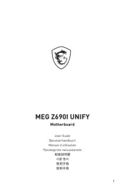 MSI
