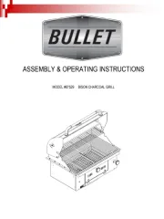 Bullet