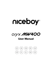 Niceboy