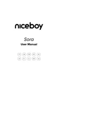 Niceboy