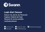 Swann