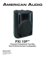 American Audio