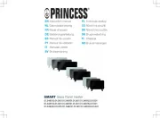 Princess