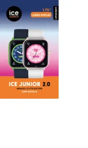 Ice Watch