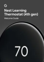 Nest