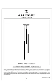 Allegri