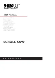 MSW