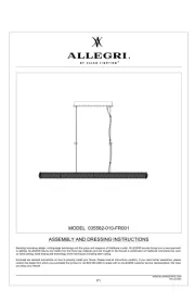 Allegri
