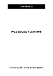 FSP