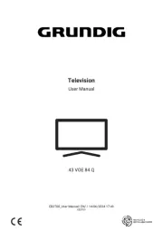 Grundig