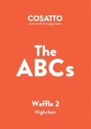 Cosatto