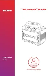 ION