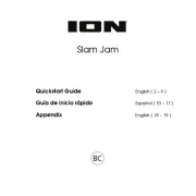ION
