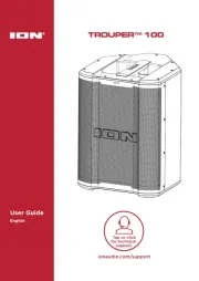 ION