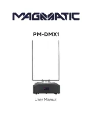 Magmatic