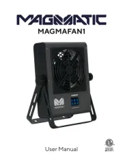 Magmatic