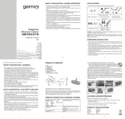 Gemini