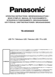 Panasonic