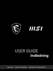 MSI
