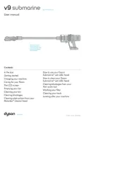 Dyson