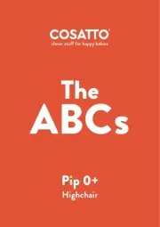 Cosatto