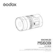 Godox