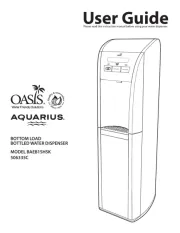 Oasis
