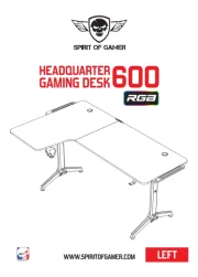 Spirit Of Gamer