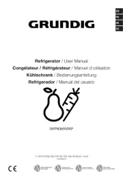 Grundig