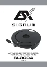 ESX