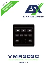ESX