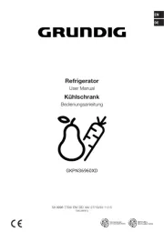 Grundig