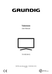 Grundig