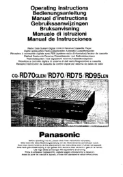 Panasonic