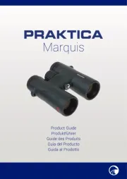 Praktica
