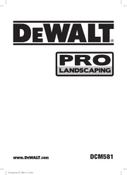DeWalt