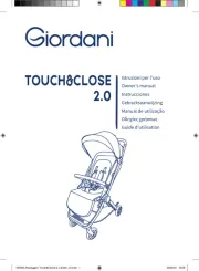 Giordani